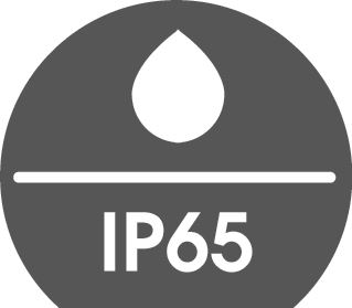 IP65